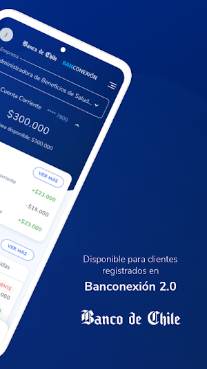 Banconexión Empresa Screenshot 1