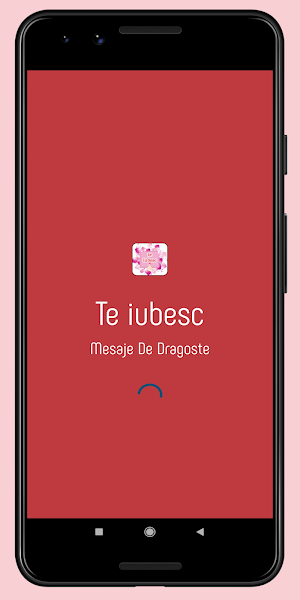 Dragoste Magnific Mesaje 2021 Screenshot 0