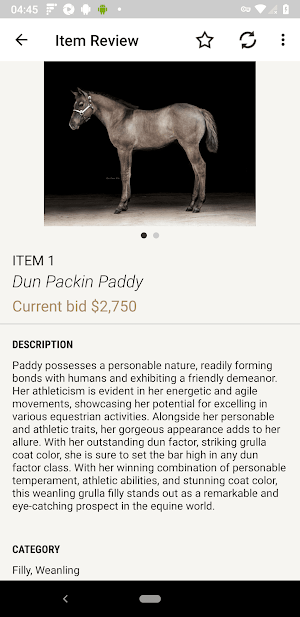 Corbett Creek Ranch Auction Screenshot 2