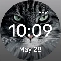 I Am Danger - Watch Face