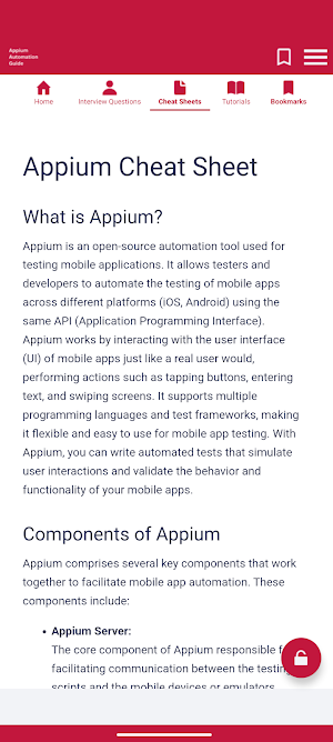 Automation Guide Appium Screenshot 2