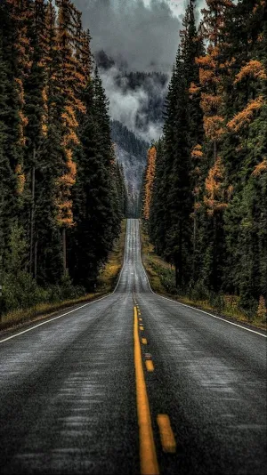 Road Wallpapers Screenshot 3