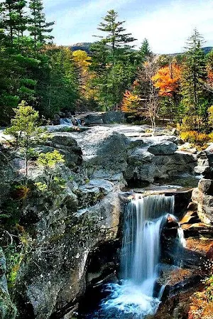 Maine Wallpaper HD Screenshot 1
