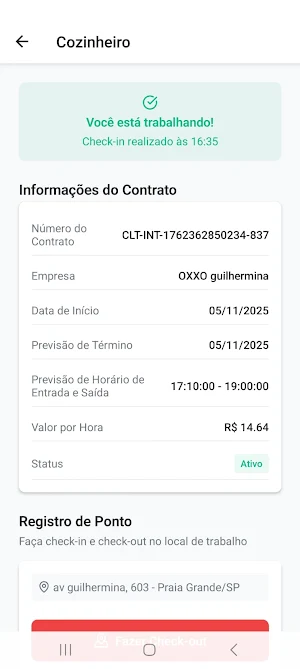 PicoPro Screenshot 1