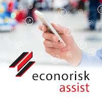 Econorisk Assist