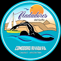 Nadadores del Golfo