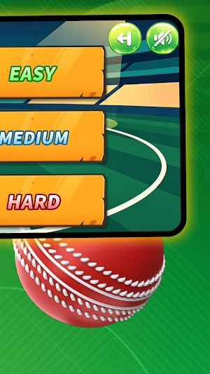 Cricket Strike Screenshot 3