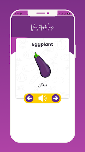 Learn Vegetable Names in Urdu Screenshot 1