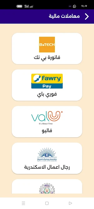 حولي باي للدفع الإلكتروني Screenshot 3