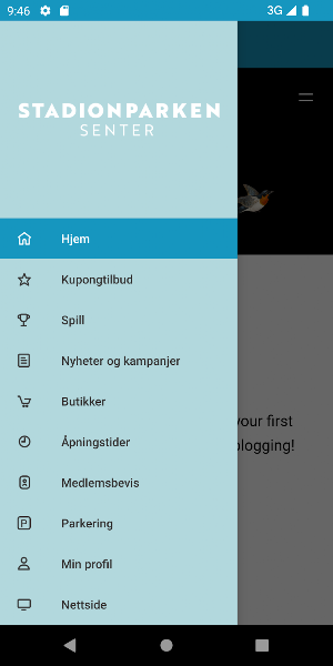 Stadionparken Screenshot 0