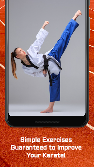 Karate Training Guide Screenshot 1