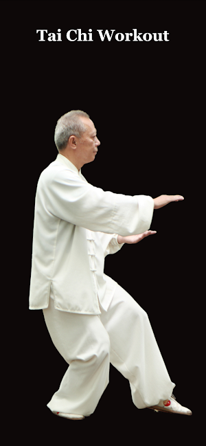 Tai Chi Workout at Home Screenshot 0