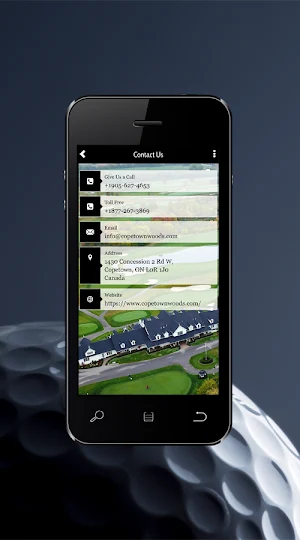 Copetown Woods Screenshot 3