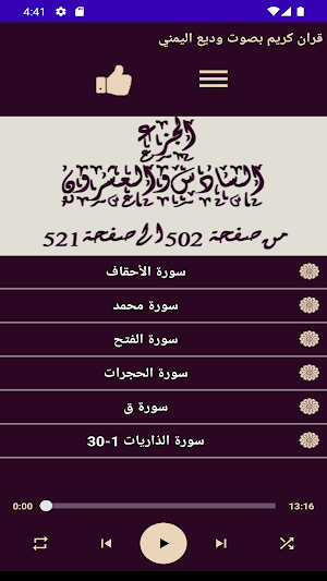 قران كريم بصوت وديع اليمني Screenshot 1
