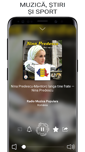 Radio Romania Online Screenshot 1