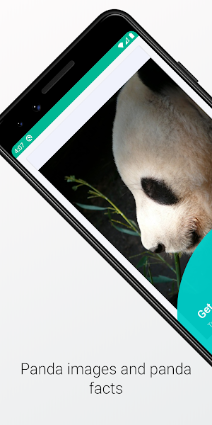 Panda Images and Facts Screenshot 0