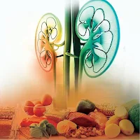 Diet and Kidney Academy