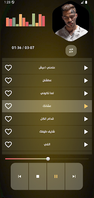 اغاني سيلاوي بدون نت 2025 Screenshot 3