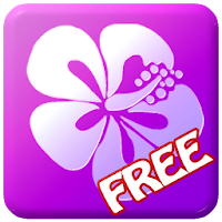 Blossomy Free