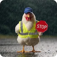 Chicken Road 2