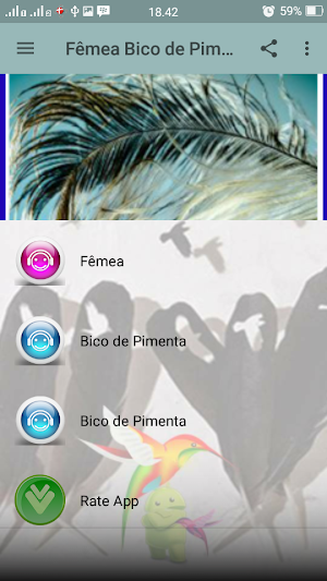 Canto Fêmea Bico de Pimenta Screenshot 2