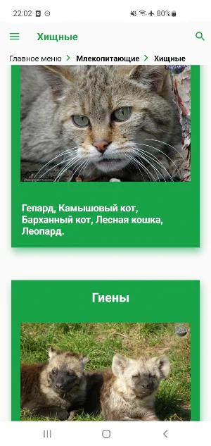 Животные Эмиратов Screenshot 2