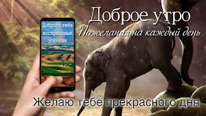 Good Morning Everyday Greetings in Russian Screenshot 1
