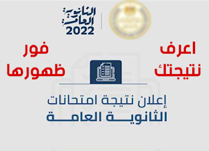 نتيجة الثانوية العامة 2023 Screenshot 0
