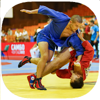 Russian Sambo Training Guide