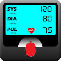 Blood Pressure Record BP Diary