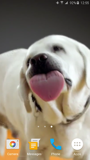 Dog Licks Screen 4K LWP Screenshot 2