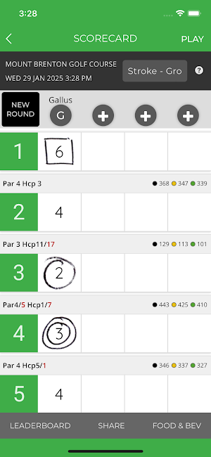 Mount Brenton Golf Course Screenshot 3