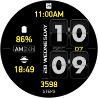 ALX05 Flip Watch Face