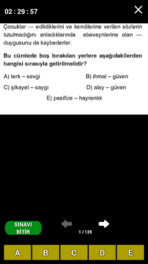 Denklem Dijital screenshot 4