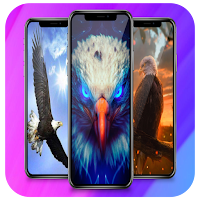 Eagle Wallpaper Live