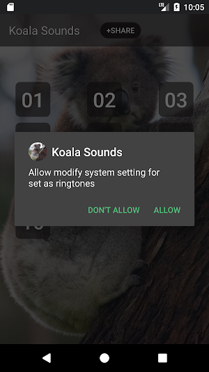 Koala Sounds Screenshot 2