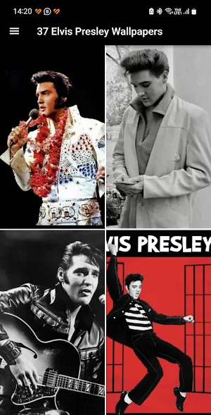 Elvis Presley HD Wallpapers Screenshot 0