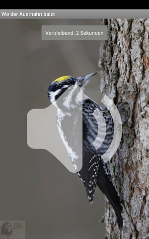 Vogelgesang im Oberbay. Wald Screenshot 3