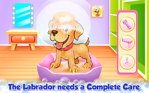 Puppy Salon Caring & Grooming Screenshot 3
