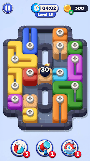 Screw Unlock Screenshot 3
