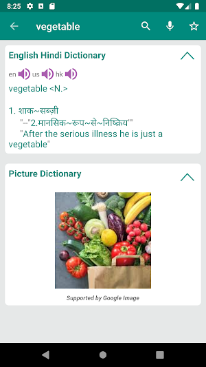 Hindi English Dictionary Screenshot 1