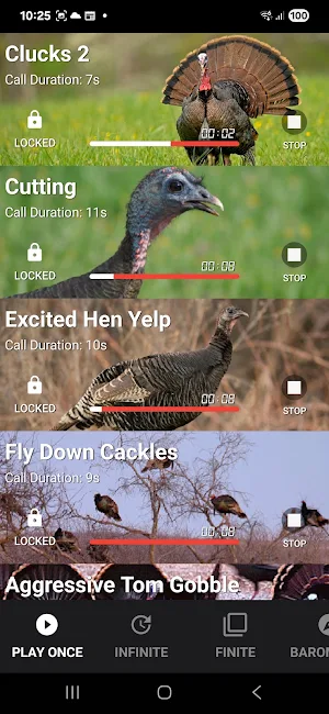 Turkey Calls Screenshot 3