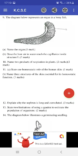 Kcse 2018: past papers and marking schemes. Screenshot 3