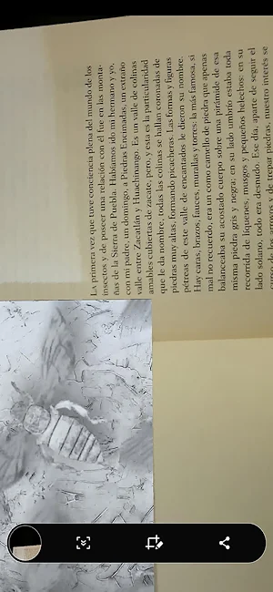 OAXAQUIA Screenshot 3