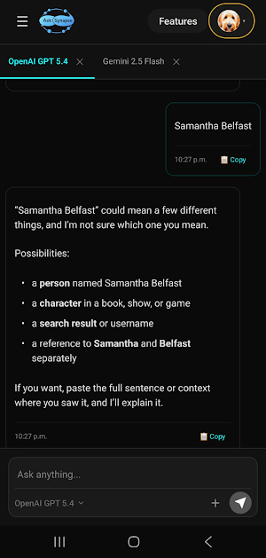 AskSynapse Screenshot 3