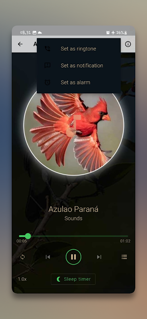 Sons de Pássaros Brasileiros Screenshot 3