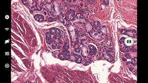 MotiConnect Screenshot 1