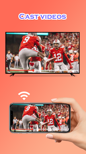Screen Mirroring - Any Tv Screenshot 2