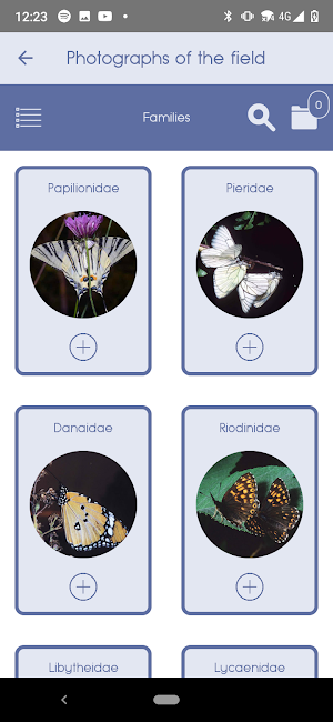 Butterflies of Greece Screenshot 1