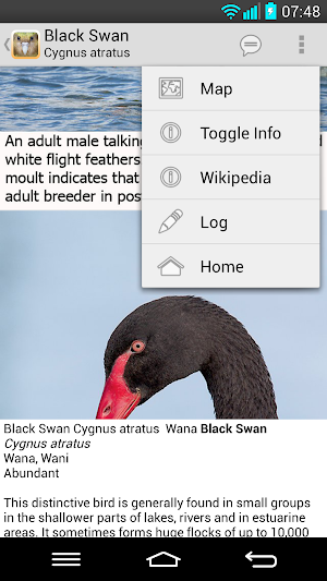 Birds of New Zealand Screenshot 2
